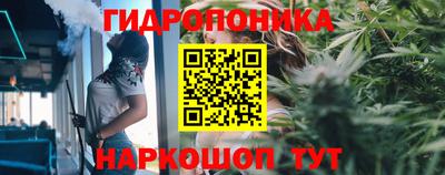 трава Партизанск