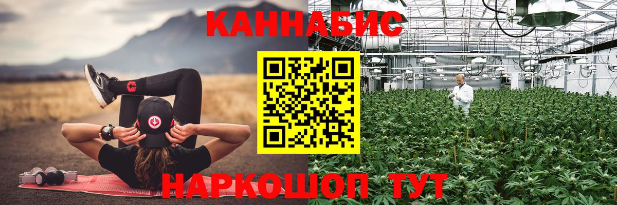 Тосно  Конопля OG Kush  Шишки марихуана конопля  МАРИХУАНА White Widow  Вход с VPN 